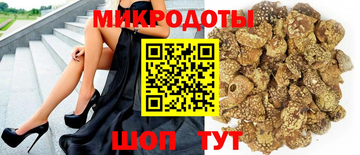 Галлюциногенные грибы Cubensis Котлас